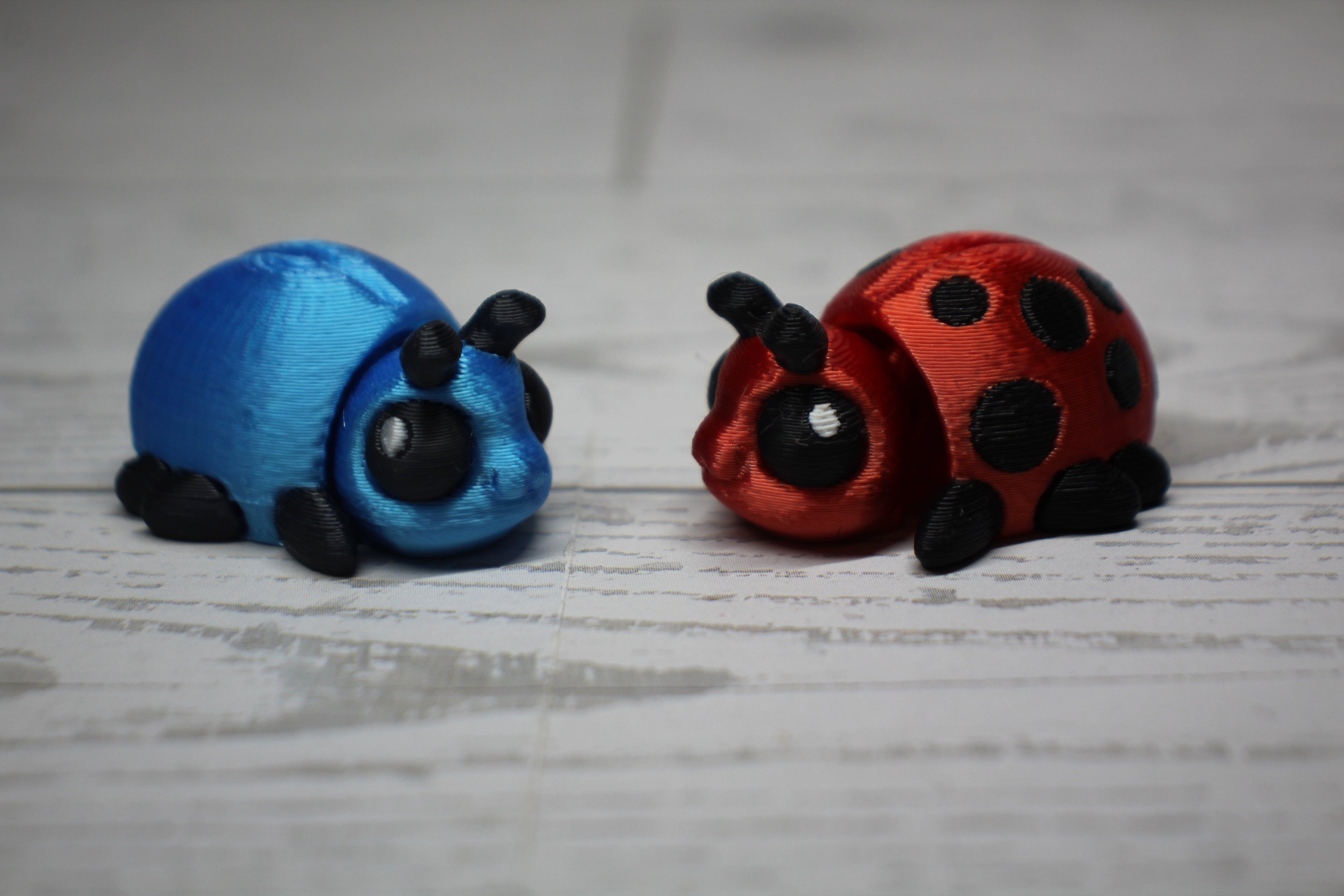 Bugs