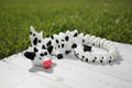 Cow Dragon