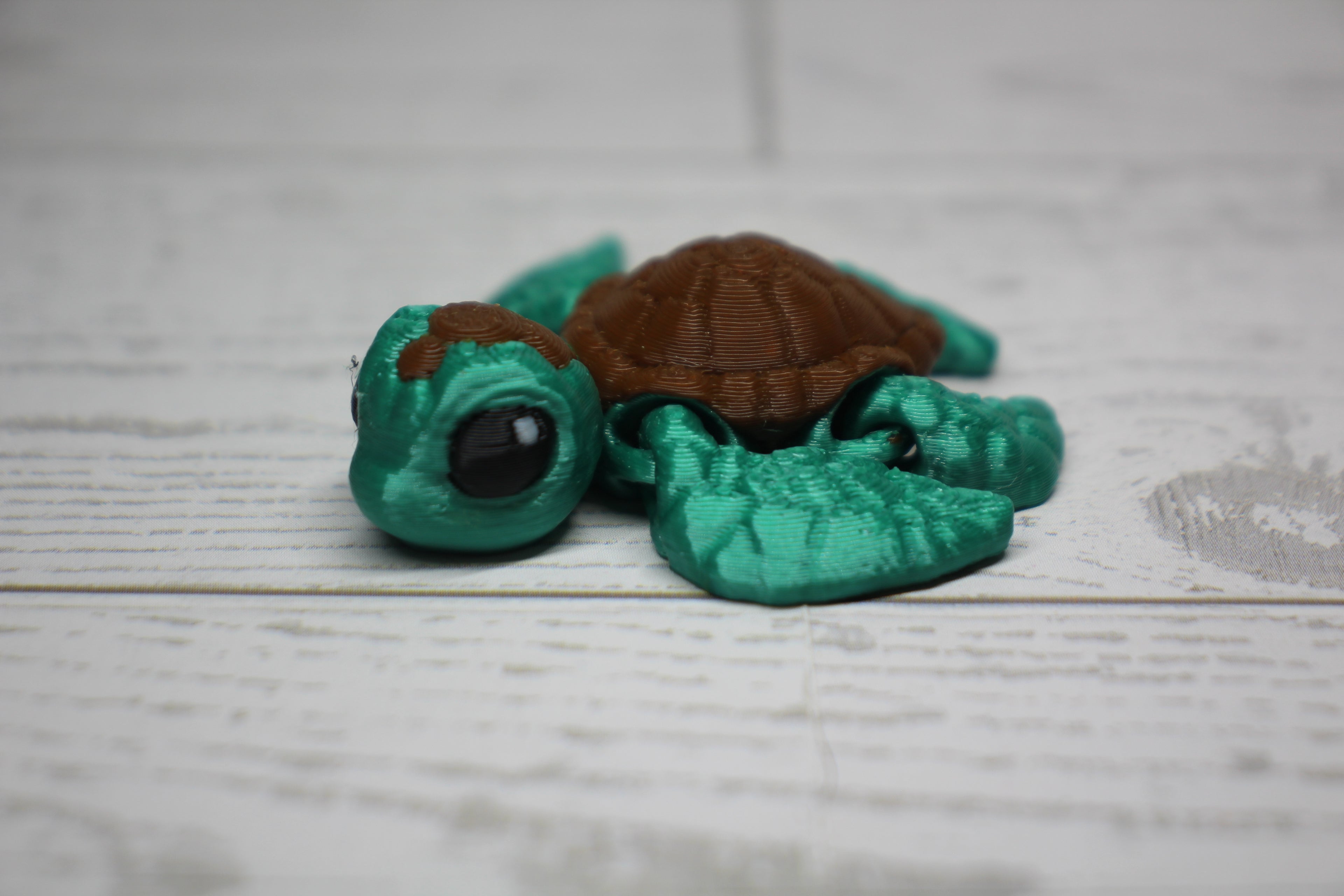 Sea Pack Hatchling