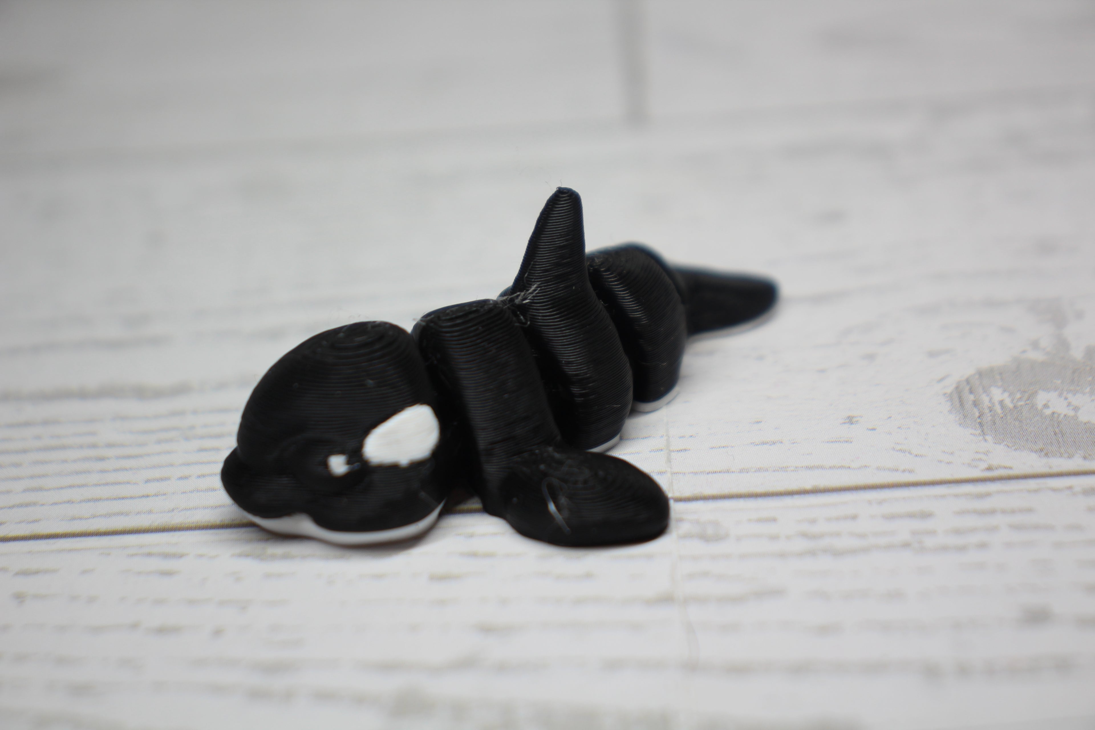 Sea Pack Hatchling