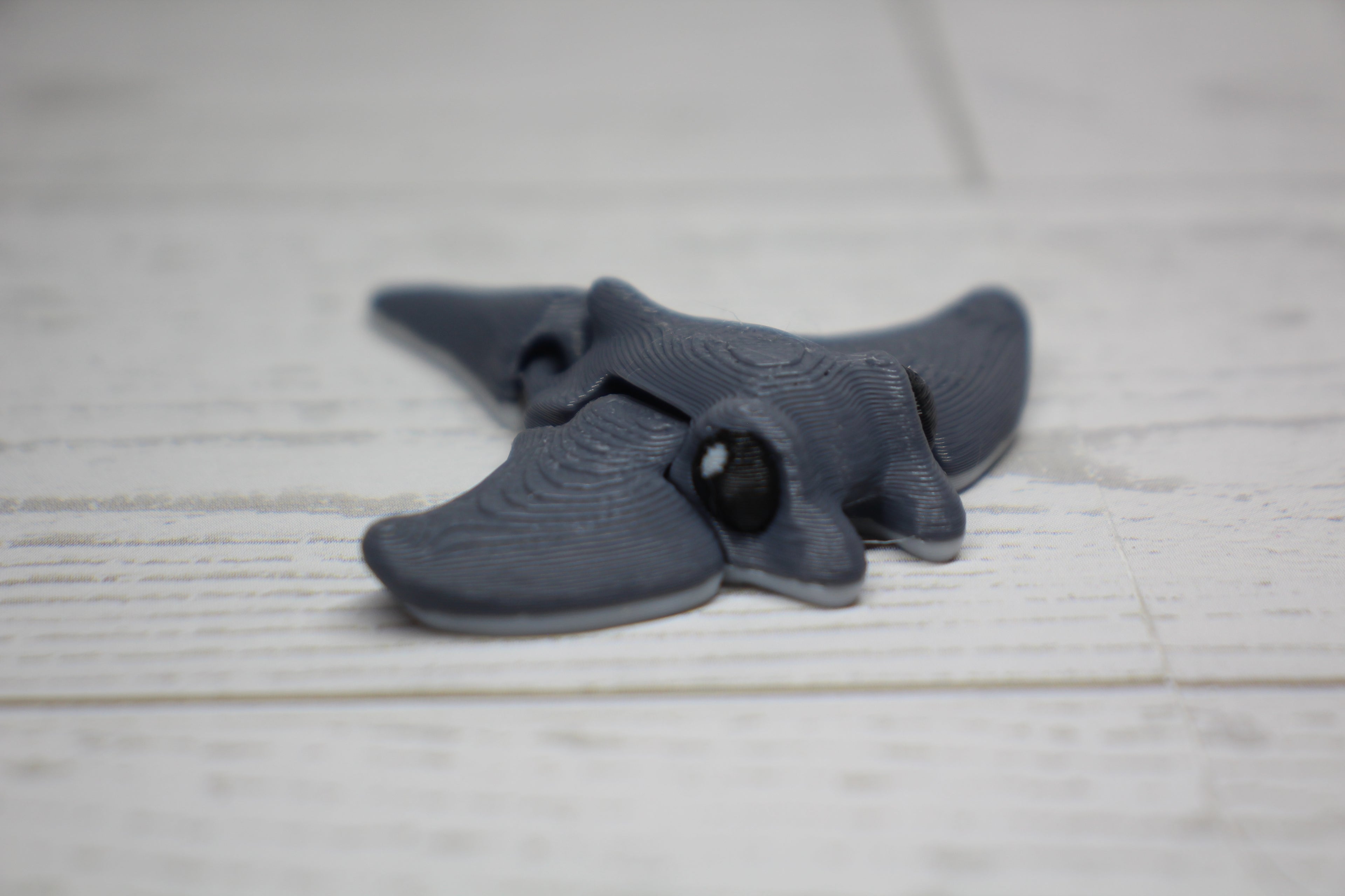 Sea Pack Hatchling
