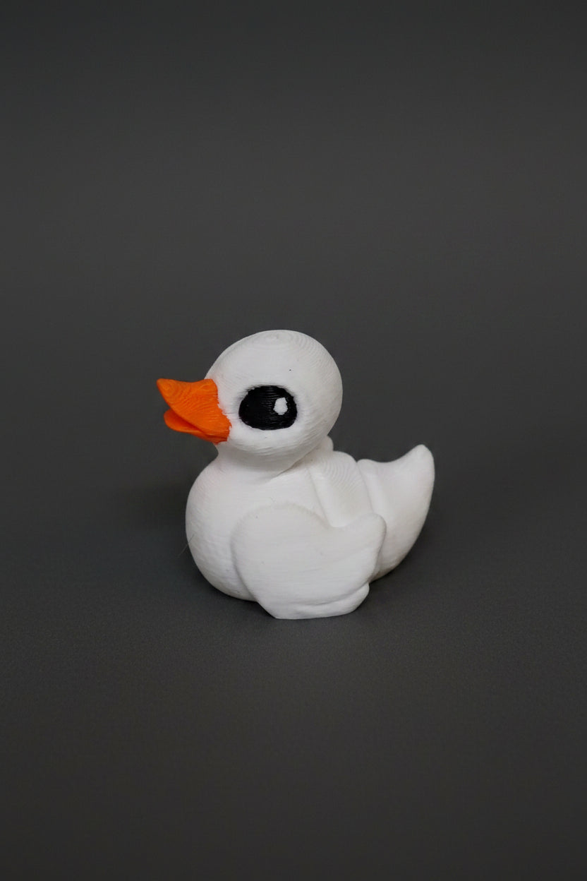 Pond Pack Hatchlings